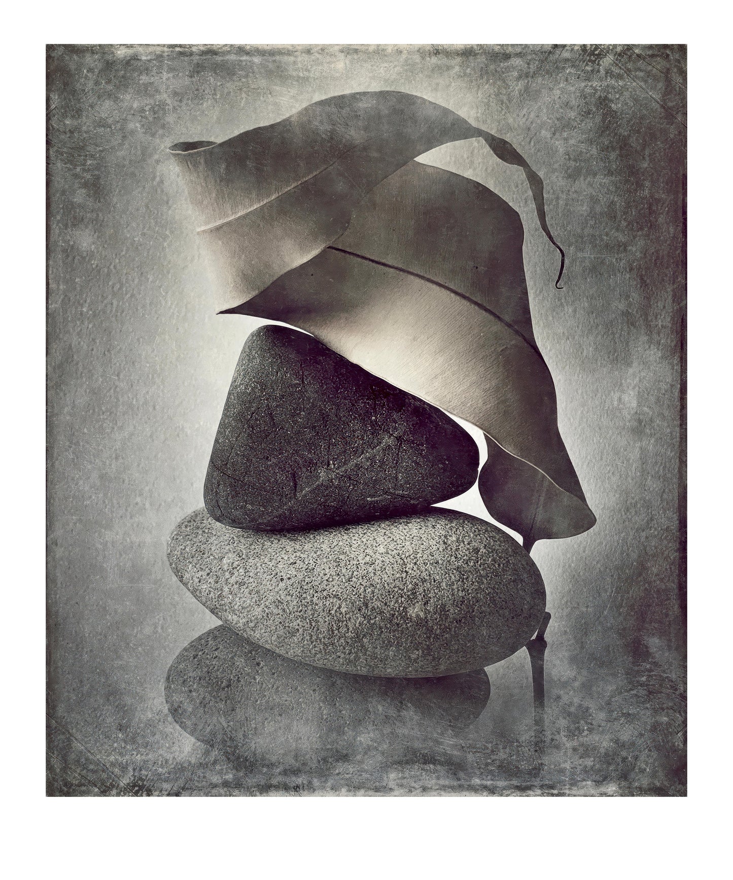 A Delicate Balance
