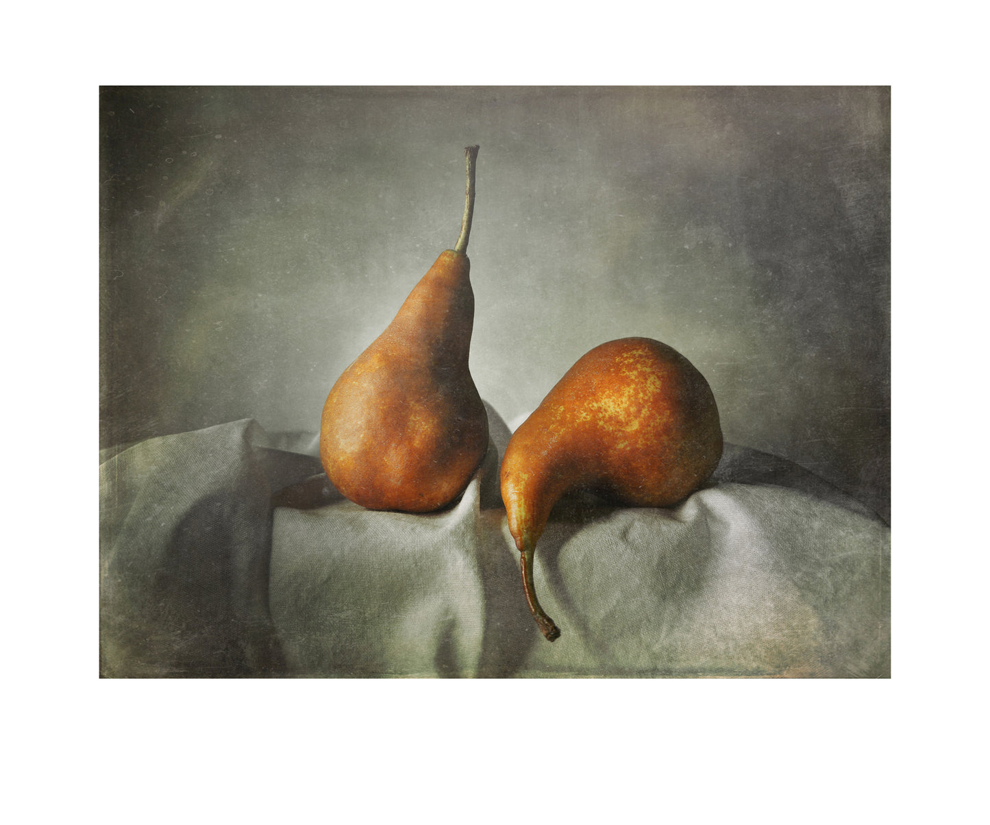 Two Pears Resting
