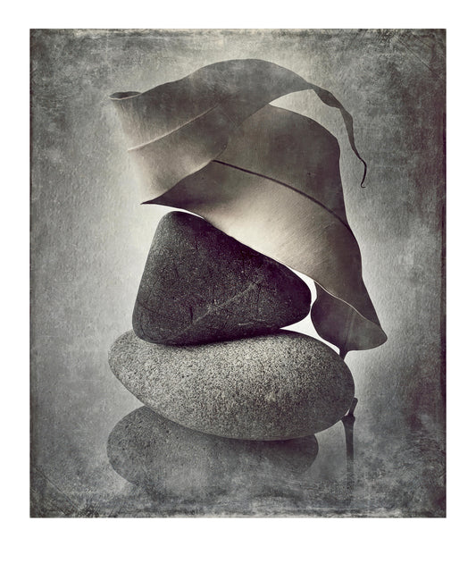 A Delicate Balance