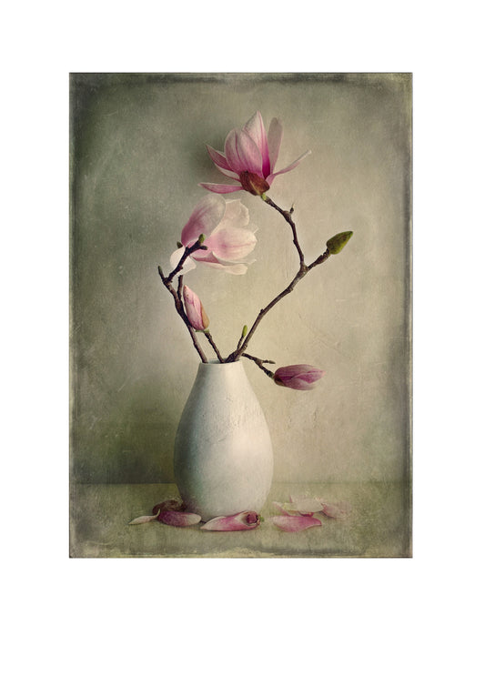 Magnolia in a Vase