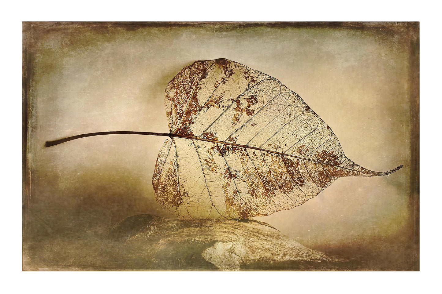 Relic