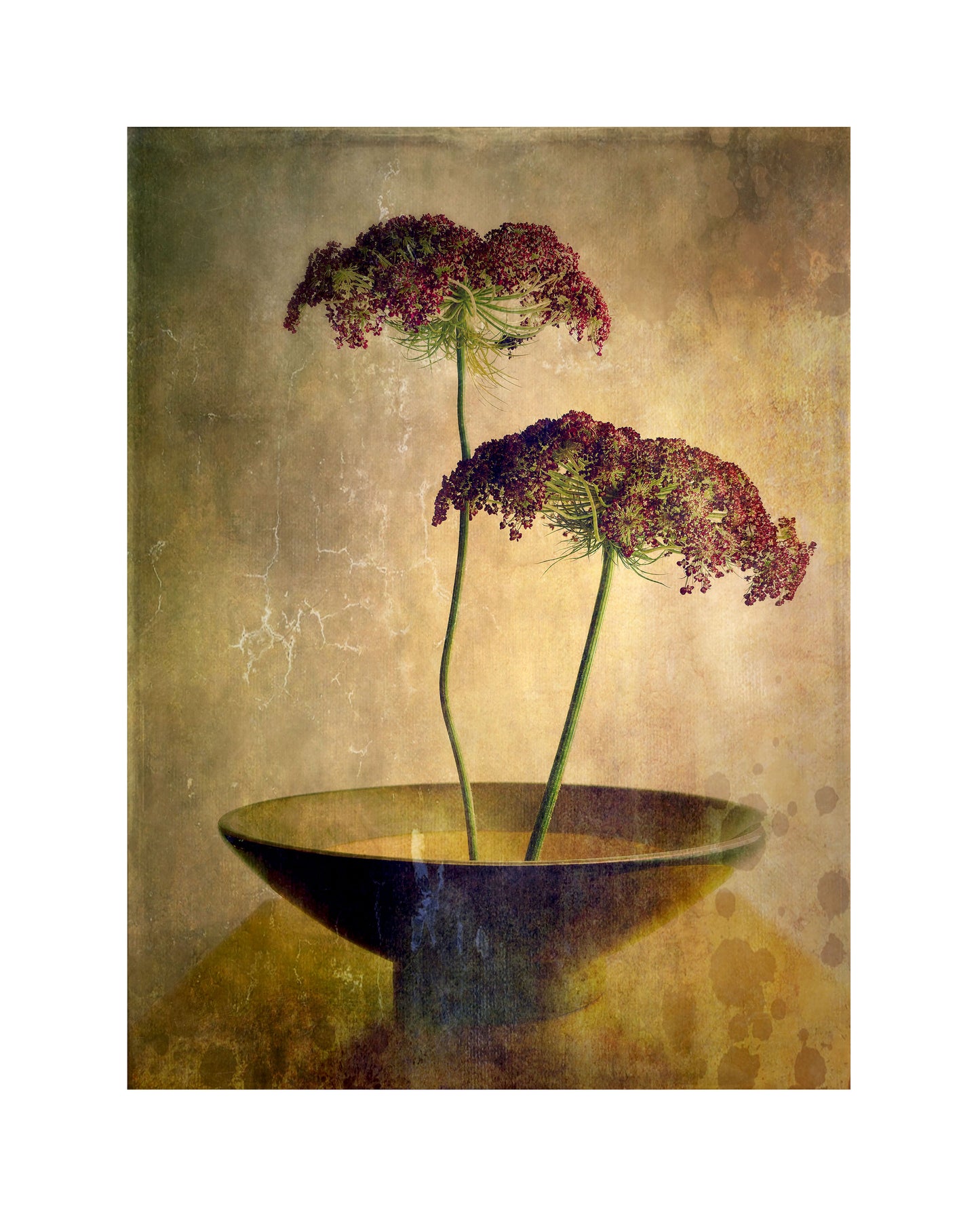 Two Flower Stems in Gold