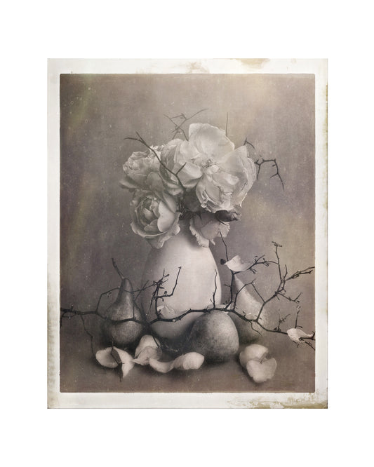 Archive of Soft Things