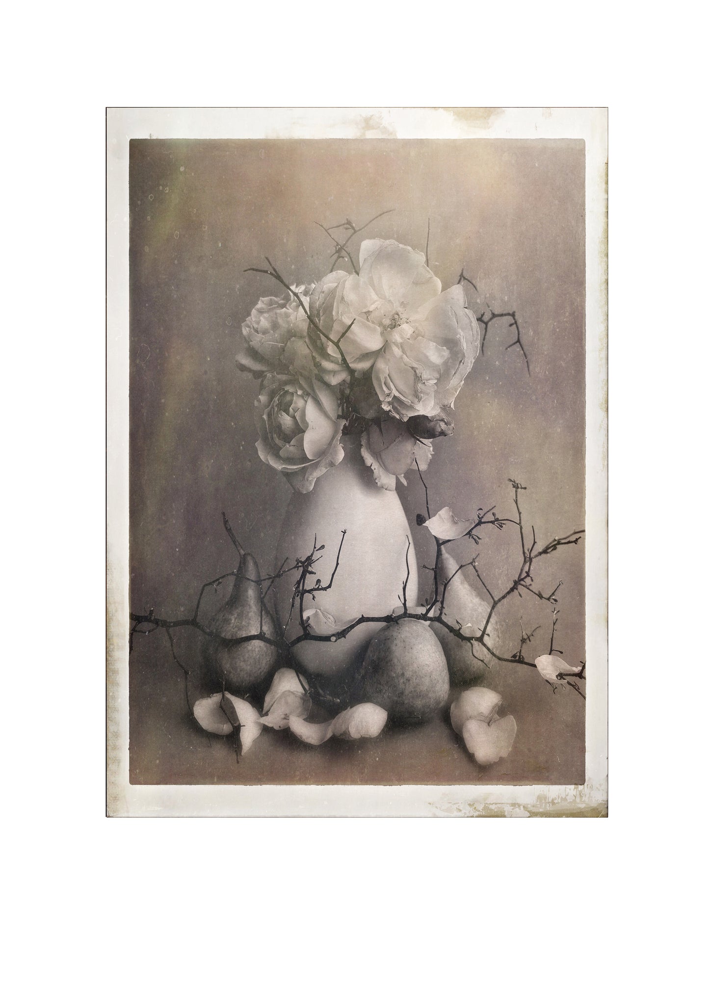 Archive of Soft Things