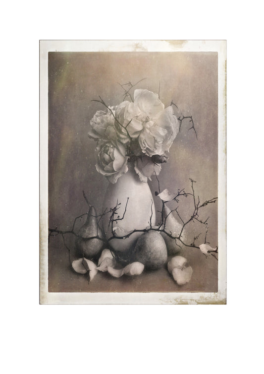 Archive of Soft Things