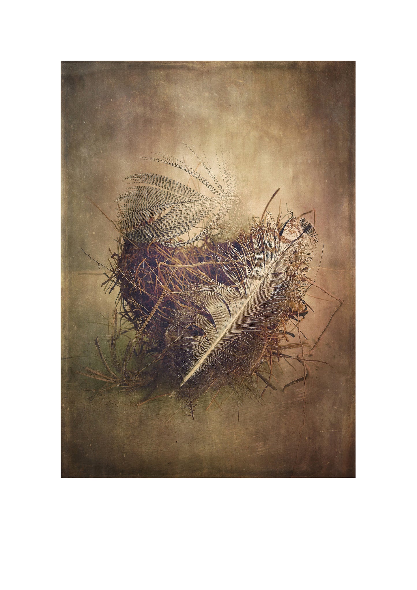 Flight comes to Rest
