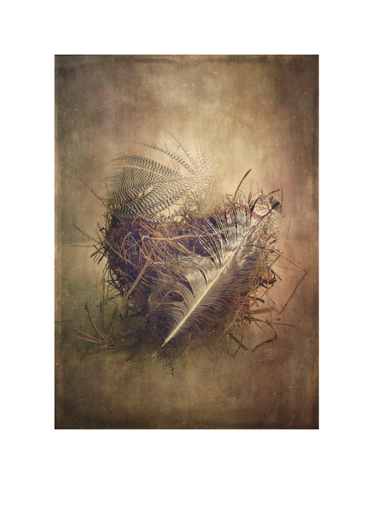 Flight comes to Rest