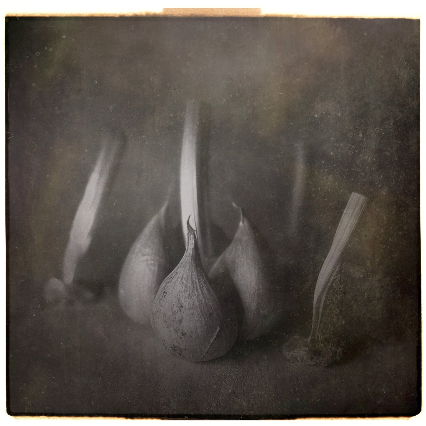 Garlic Architecture
