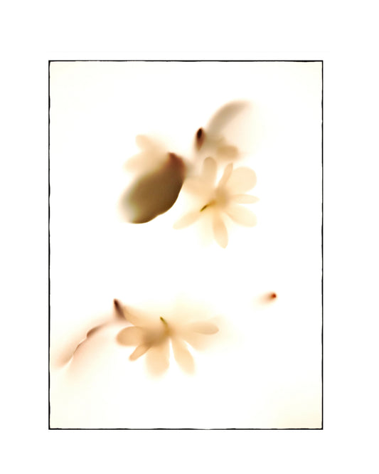 Whisperings 1