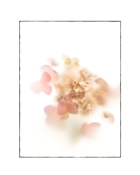 Whisperings 2