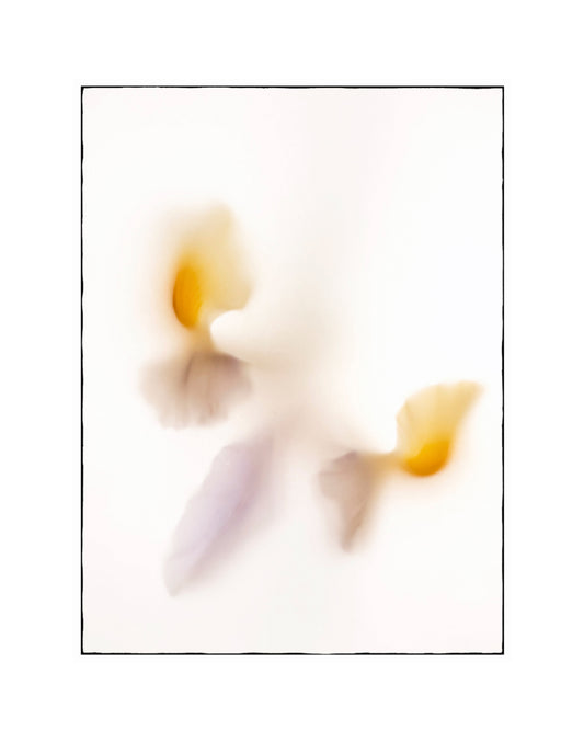 Whisperings 3